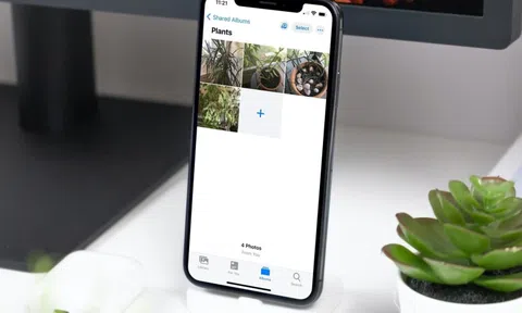Cách chia sẻ ảnh chụp Tết cho bạn bè trên iPhone