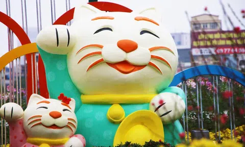 Linh vật mèo của tỉnh thành nào đẹp nhất Tết Quý Mão 2023?