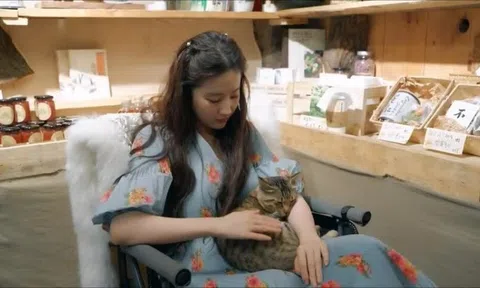 Lưu Diệc Phi sống độc thân cùng đàn mèo