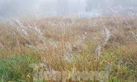 Nhiệt độ xuống 0 độ C, băng giá xuất hiện trên đỉnh Mẫu Sơn