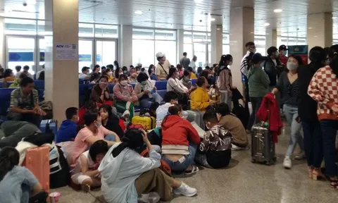 Ngán ngẩm, vạ vật vì "delay"