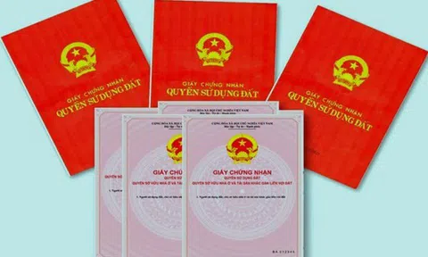 Hải Phòng: Hai mẹ con lừa bán căn hộ cao cấp để chiếm đoạt tiền đặt cọc