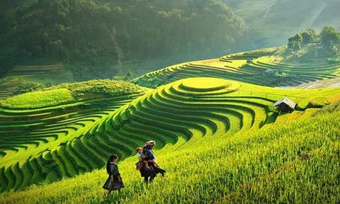 Không còn Tổng cục Du lịch, Thể dục thể thao