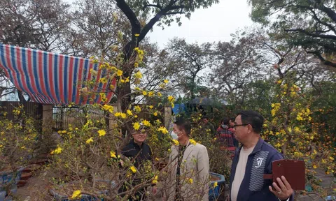 Tết Nguyên đán, thời tiết các vùng trên cả nước ra sao?