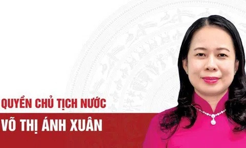 Chân dung Quyền Chủ tịch nước Võ Thị Ánh Xuân