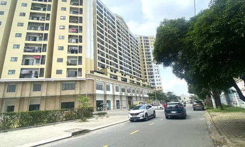 TP HCM: Năm 2023 sẽ cấp sổ hồng cho 20.300 căn nhà