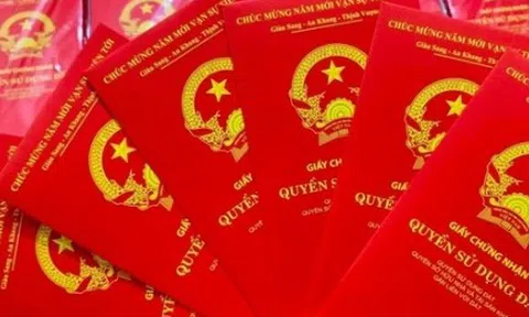 Bán phong bao lì xì in hình sổ đỏ, tiền Việt Nam có thể bị phạt nặng