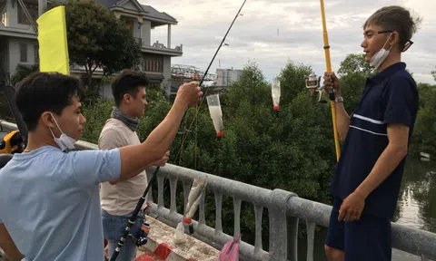 Độc đáo câu cá đối ngày giáp Tết