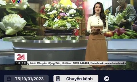 Nền tảng VTVgo cung cấp 7 kênh truyền hình thiết yếu quốc gia