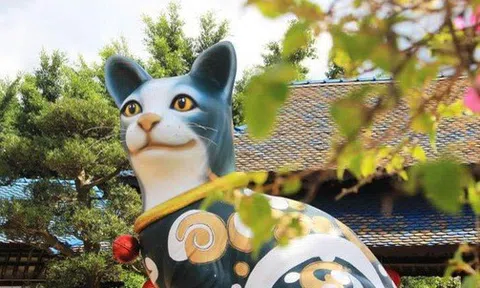 Chú mèo Lâm Đồng tham gia cuộc đua linh vật của năm