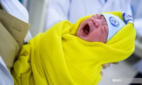 Chào đón “thiên thần” đầu tiên của năm Quý Mão