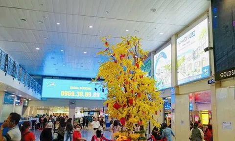 Bất ngờ lượng khách qua sân bay Tân Sơn Nhất ngày Tết
