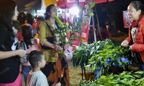 Người dân và du khách nô nức tham gia Lễ hội Chợ đình Bích La Quảng Trị