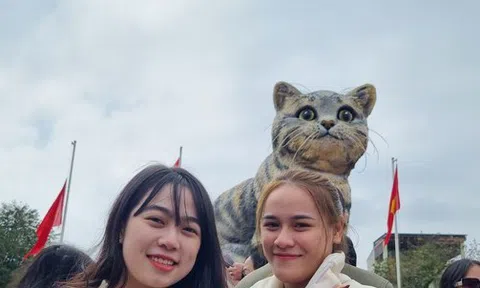 Mồng 5 tết, 'hoa hậu mèo' Quảng Trị vẫn hút đông người tới chụp hình