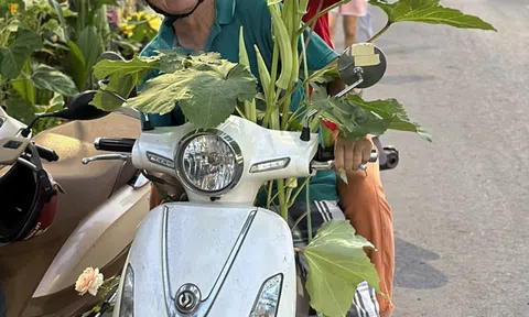 Cát Tường: 'Có người theo đuổi 5 năm nhưng tôi chưa mở lòng'