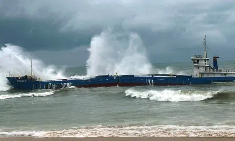 Sẽ bơm, hút 8.000 lít dầu từ tàu hàng gãy đôi trên biển Quảng Ngãi