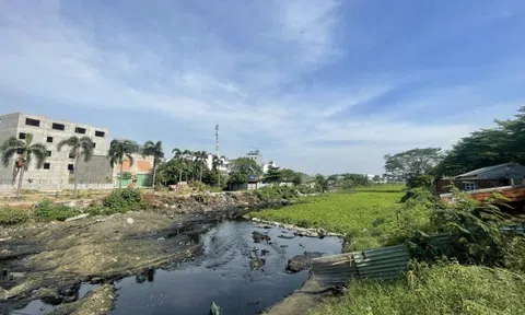 Hồi sinh kênh Tham Lương - Bến Cát - rạch Nước Lên