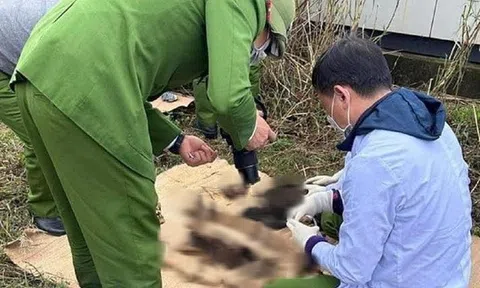 Phát hiện bộ xương người trong khu mặt bằng đô thị