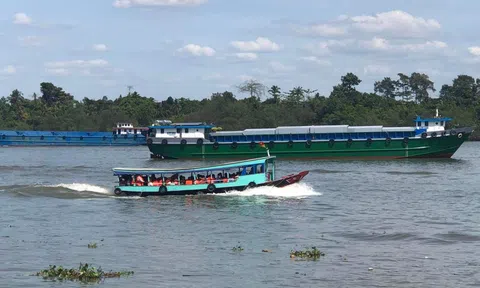 Sở GTVT TP HCM thông tin nóng vụ thuyền lật khi chở khách đi chùa