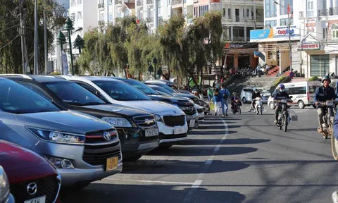 Lâm Đồng: Đấu giá 8 điểm giữ xe thu về 27,7 tỷ đồng