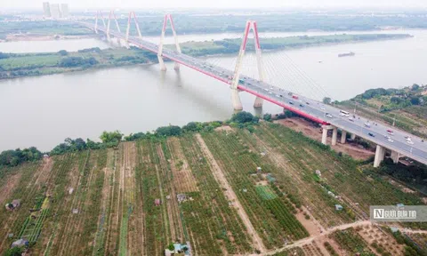 Cấm xe qua cầu Nhật Tân 7 ngày để kiểm định chất lượng