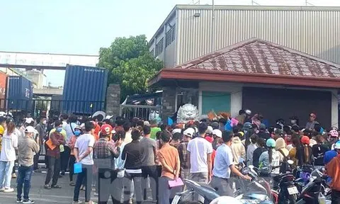 Hàng trăm người chen chân nộp hồ sơ xin việc