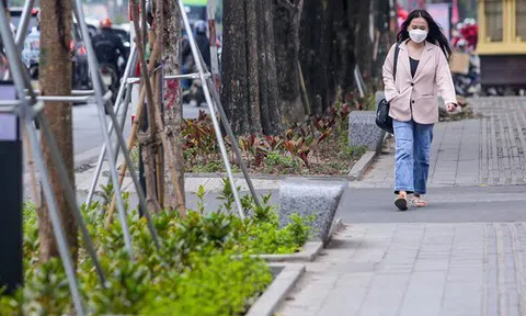 Cận cảnh hàng ghế đá dưới cây hoa sữa cổ thụ trên đường đẹp nhất Hà Nội