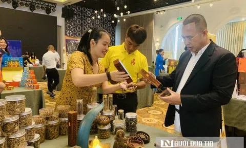 Phát động nâng cao hình ảnh, chất lượng du lịch Nha Trang – Khánh Hòa