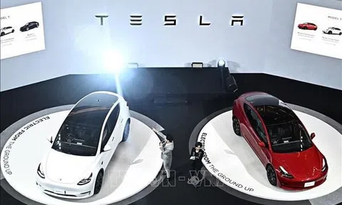 Tesla triệu hồi gần 363.000 xe điện do vấn đề với công nghệ hỗ trợ người lái