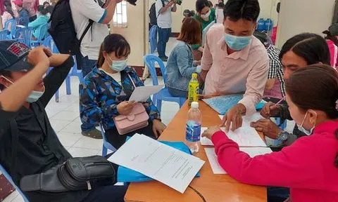 Đề xuất phương án hưu trí cho người lao động trong doanh nghiệp nợ BHXH