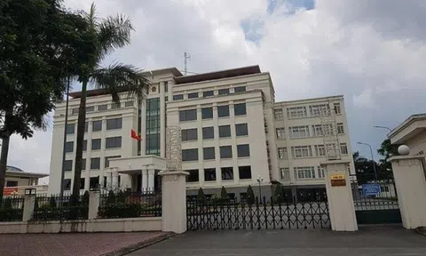 Trưởng phòng Nội vụ ở Hải Phòng chưa tốt nghiệp phổ thông đã “nhảy cóc” lên đại học?