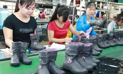 Cập nhật chính sách BHXH, lao động - tiền lương có hiệu lực từ năm 2023