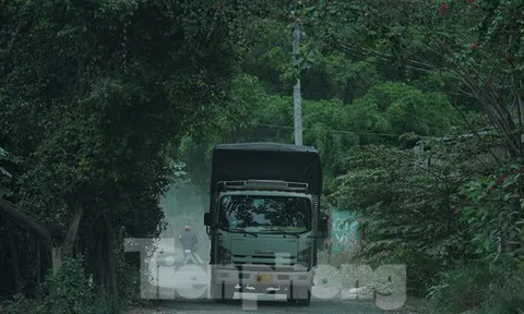 Tận thấy 'con đường đau khổ' gần 10 năm ở TPHCM