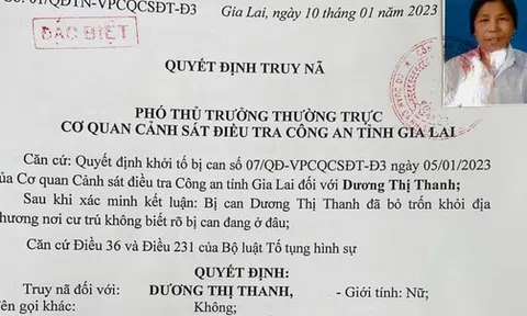 Bắt cụ bà 73 tuổi vay 14 tỉ đồng rồi bỏ trốn