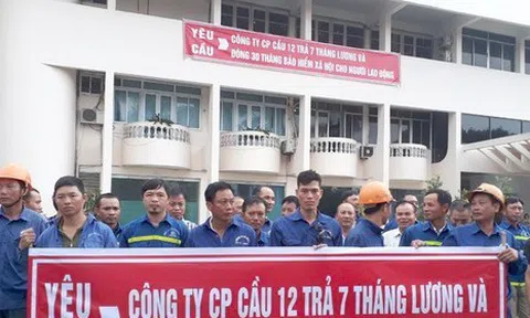 Hơn 200.000 lao động bị 'treo' quyền lợi do bị nợ bảo hiểm xã hội: Vẫn phải chờ