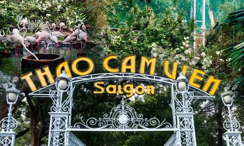 Thảo Cầm Viên Sài Gòn vươn mình sau lời kêu cứu hơn 1 năm trước, mỗi ngày thu 400 triệu đồng và nhìn lại hành trình đầy khó khăn
