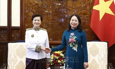 Quyền Chủ tịch nước Võ Thị Ánh Xuân tiếp các Đại sứ đến trình Quốc thư