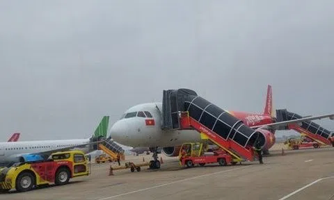 Liên tiếp phát hiện khỉ xâm nhập sân bay Nội Bài, Cục Hàng không chỉ đạo khẩn