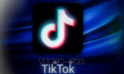 EC cấm nhân viên cài đặt TikTok trên các thiết bị