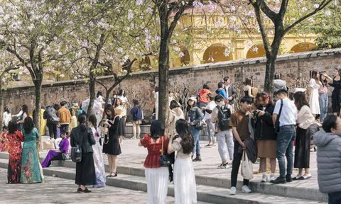 Đông nghịt người kéo đến "con đường hoa ban tím" ở Hà Nội trong ngày cuối tuần, đúng là trời nắng đẹp có khác!