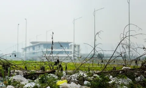 Rác thải bủa vây, khói ám chết cả cây trên đường đua F1