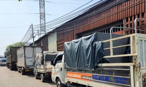 Khổ như... đi đăng kiểm ô tô