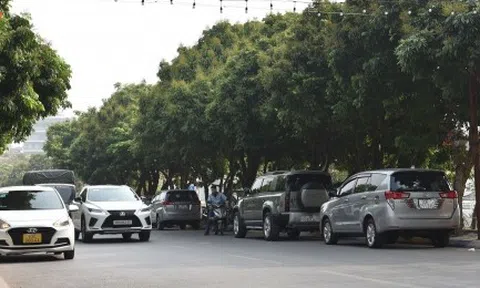 Hà Nội đánh chuyển rặng nhãn trên tuyến phố đi bộ Trịnh Công Sơn