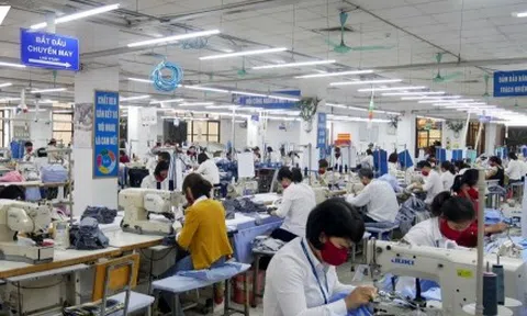 Rút BHXH 1 lần giải quyết nhu cầu trước mắt, người lao động gặp khó khăn khi về già