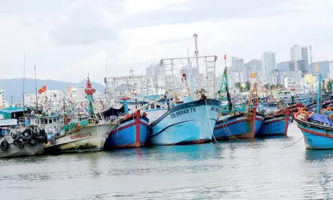 Khánh Hòa đẩy mạnh chống khai thác thủy sản bất hợp pháp