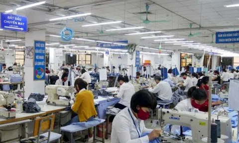 Đề xuất giảm số năm đóng BHXH: Cần cân đối mức lương hưu, đảm bảo mức sống tối thiểu