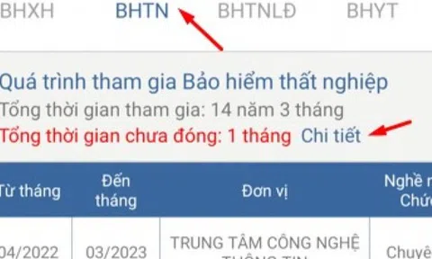 Bổ sung tính năng thời gian chưa đóng BHXH trên VssID