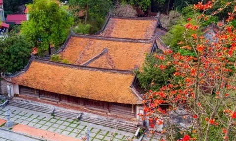 Ngôi chùa nghìn năm tuổi ở Hà Nội nên thơ với sắc đỏ hoa gạo