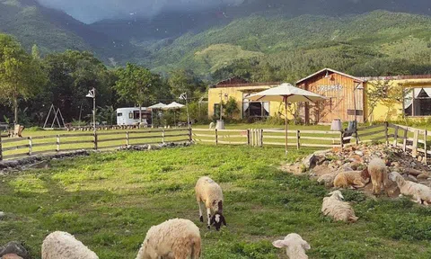 Tp.Đà Nẵng: Chấn chỉnh khu du lịch tự phát thu phí người dân