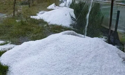 Xuất hiện mưa đá lớn tại Lâm Đồng